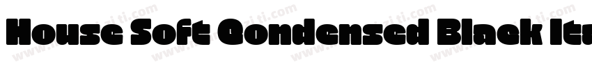 House Soft Condensed Black Italic字体转换